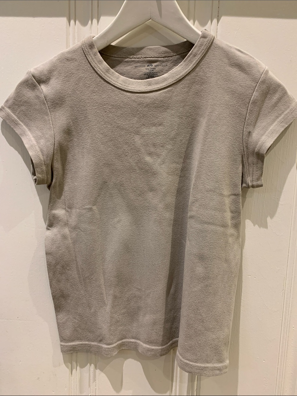 Brandy Melville taupe short sleeve t-shirt